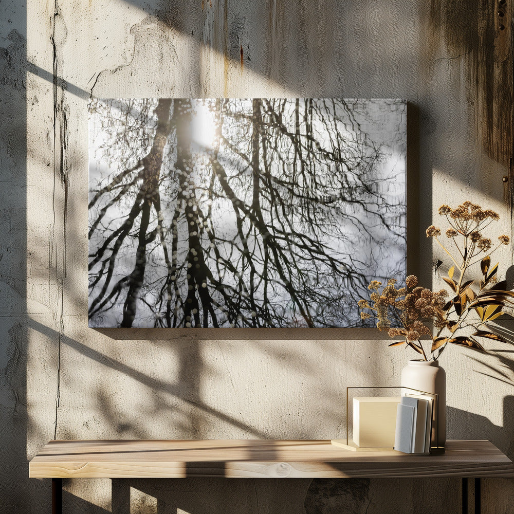 Winterreflecties 3 | Canvas