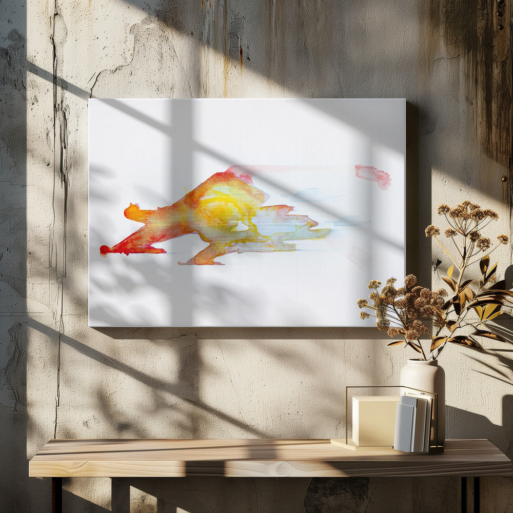 UAP CMYR | Canvas