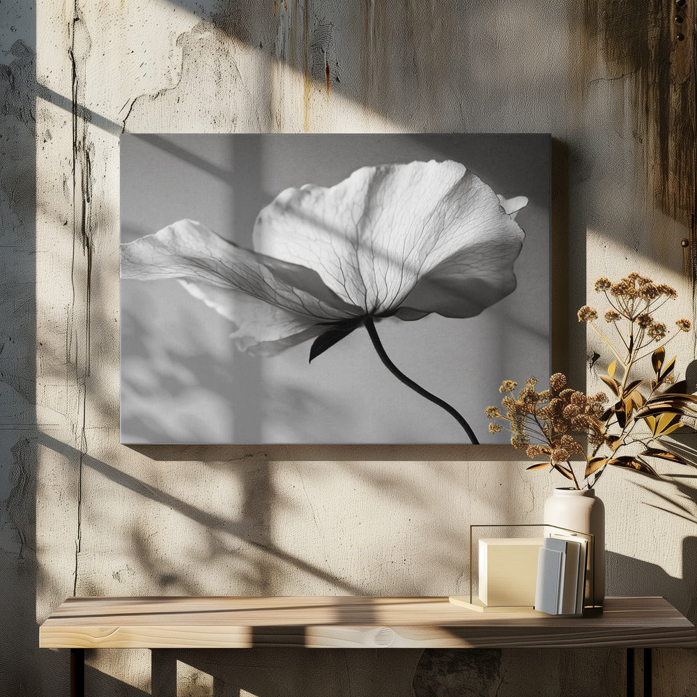 Delicate Bloemblaadjesdans | Canvas