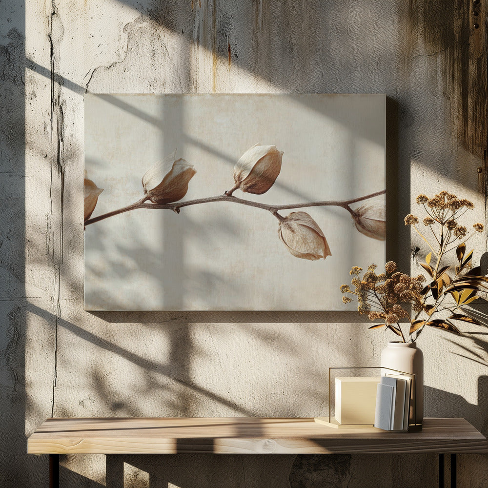 Vervaagde elegantie | Canvas