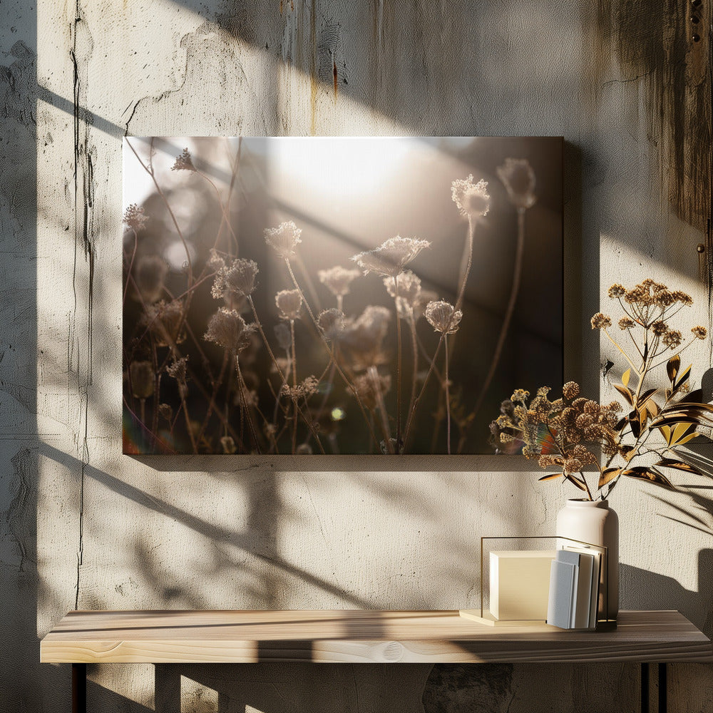 Warm Winterlicht 3 | Canvas