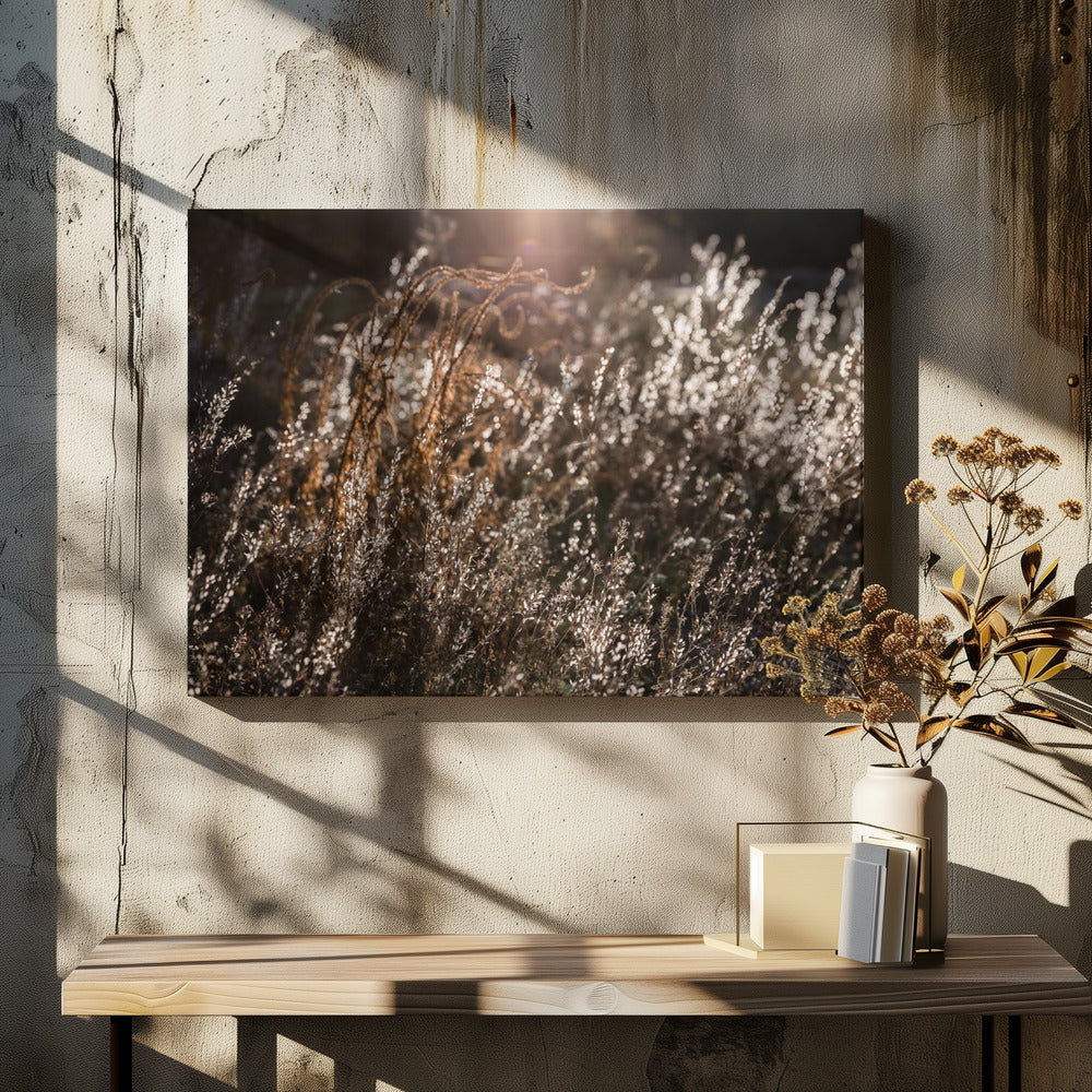 Warm Winterlicht 4 | Canvas