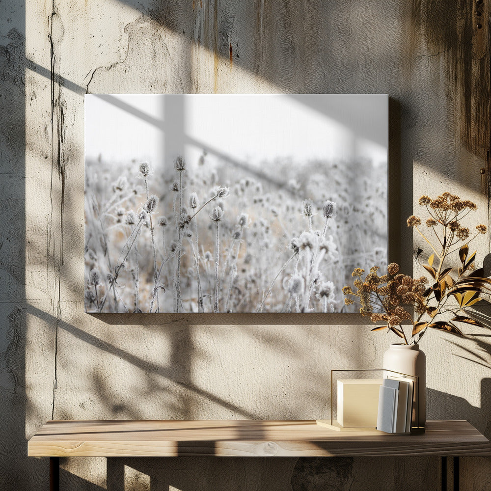 Winterveld 5 | Canvas