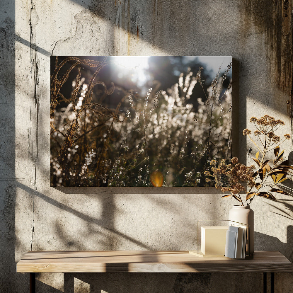 Warm Winterlicht 7 | Canvas