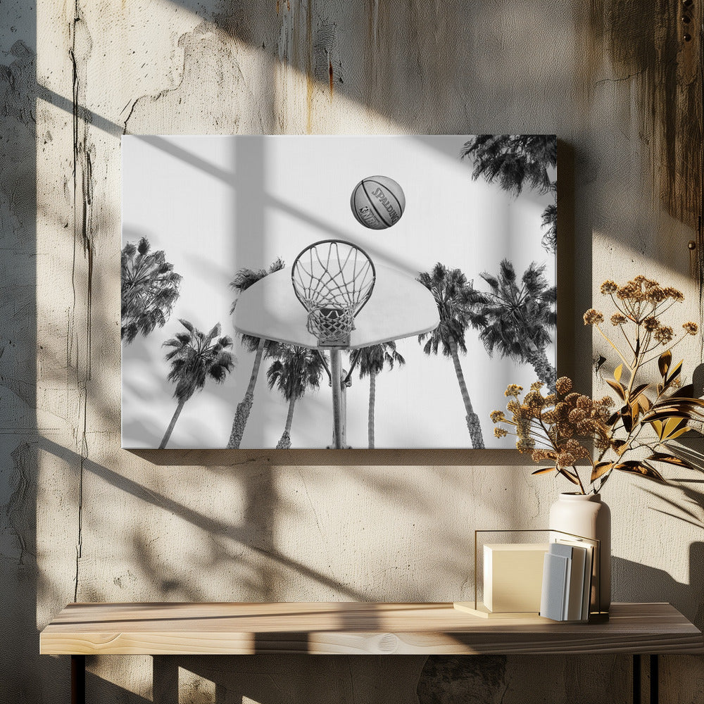 Basketbal | Canvas