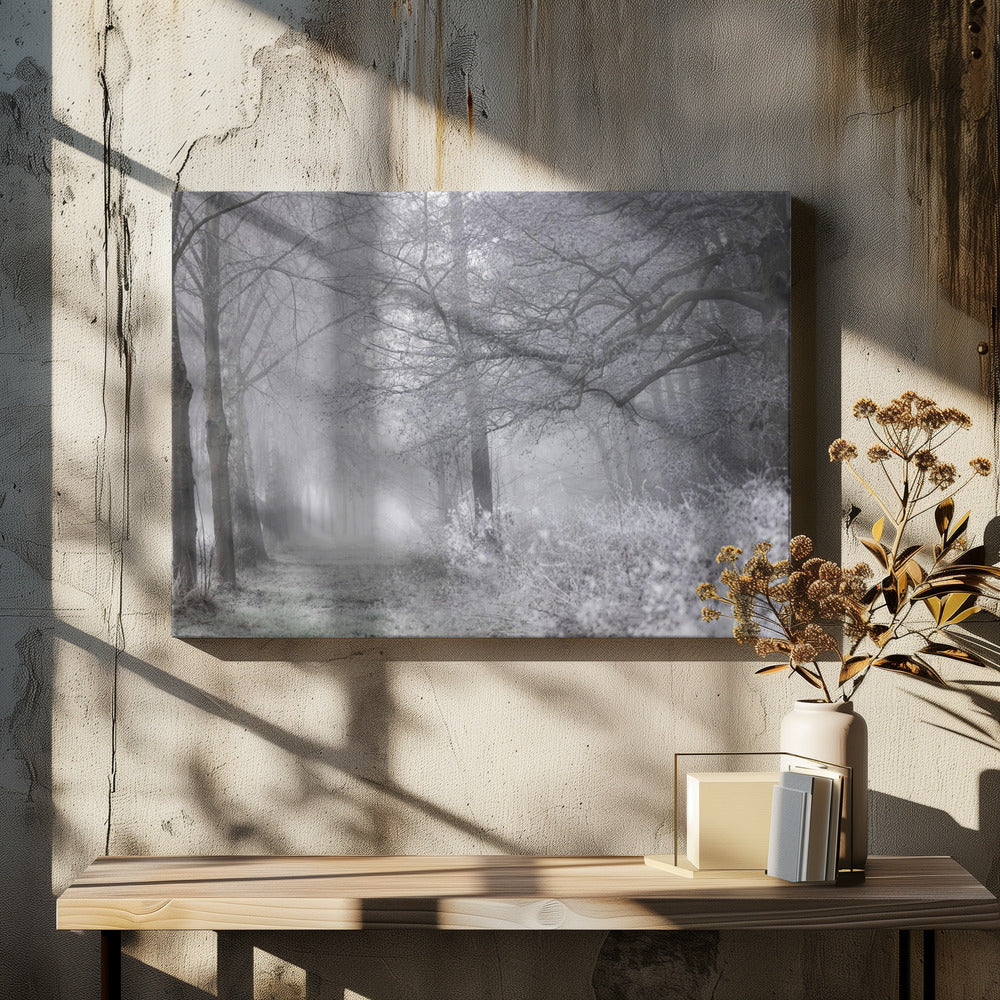 Mistige winterochtend 1 | Canvas