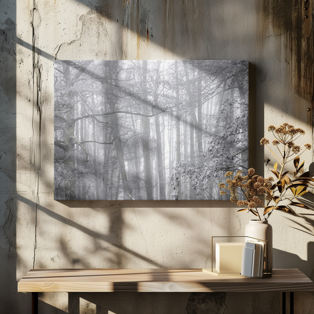 Mistige winterochtend 2 | Canvas