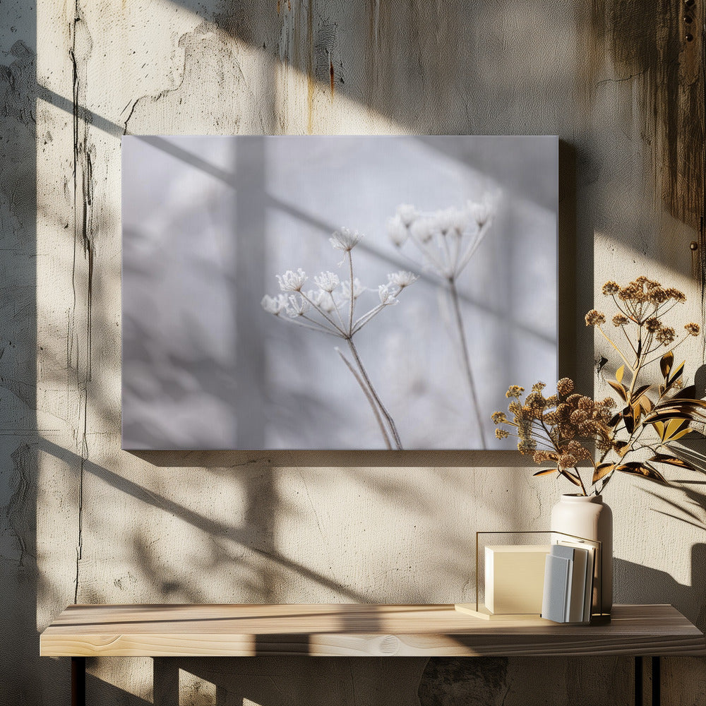Frozen 7 | Canvas