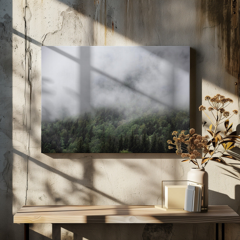 Ergens in Noorwegen 5 | Canvas