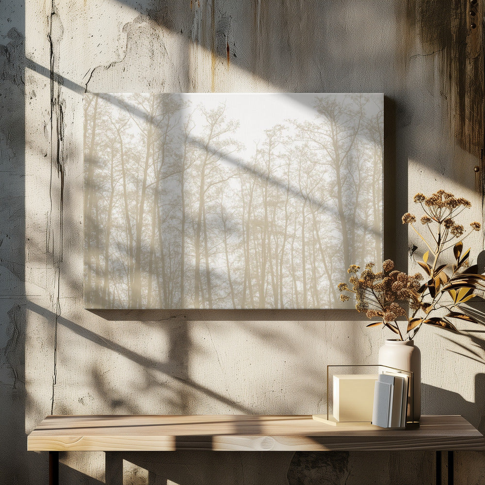 Tree Silhouettes 1 | Canvas