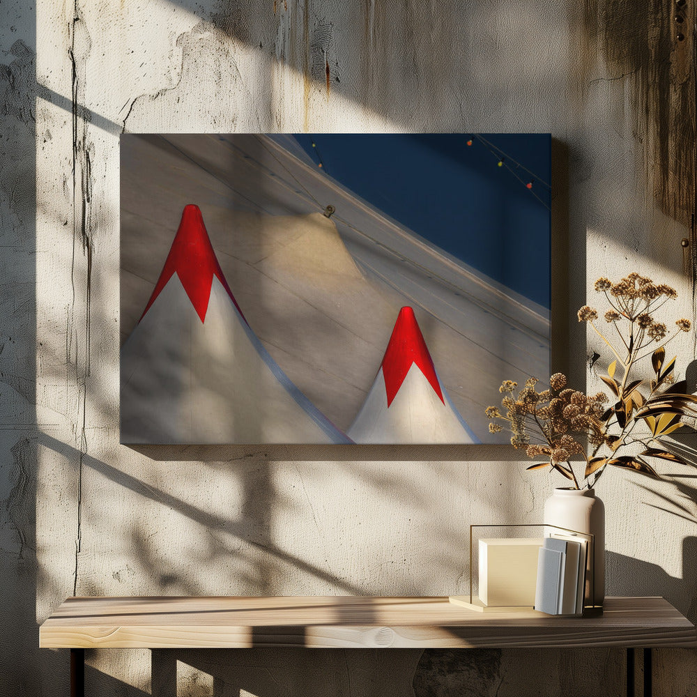 Circusdak | Canvas