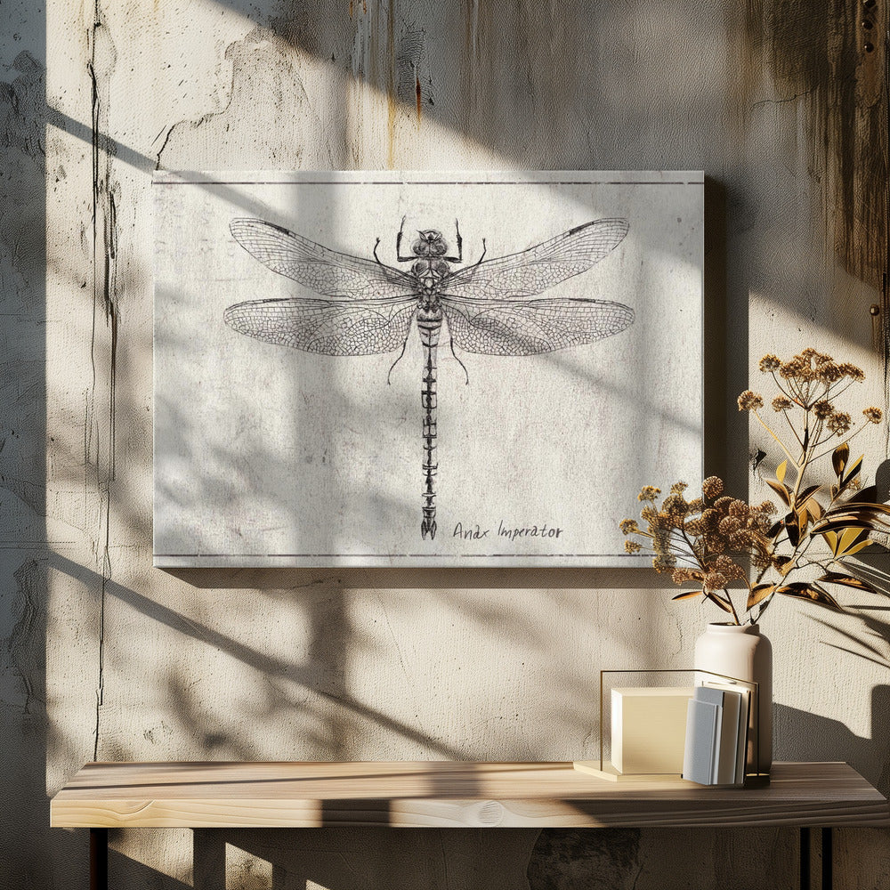Majesteit in Vlucht Anax Imperator | Canvas