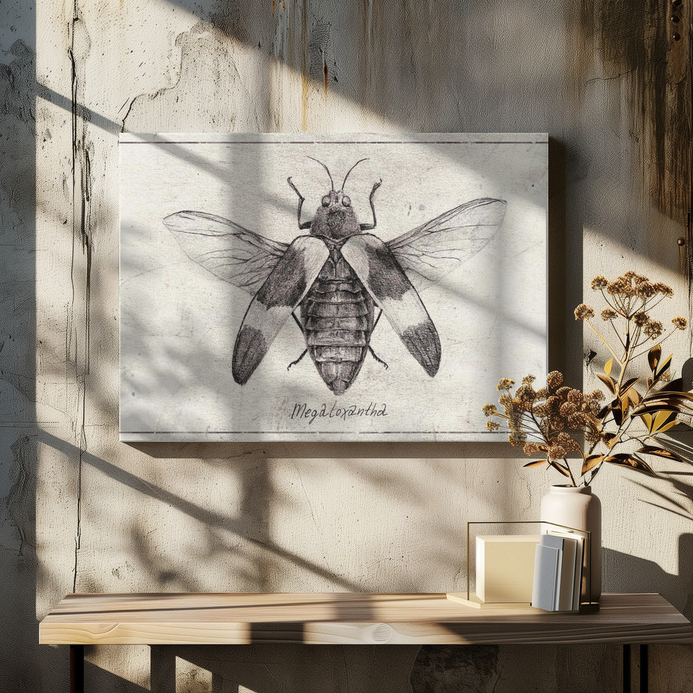 Ingewikkelde insectenschets | Canvas