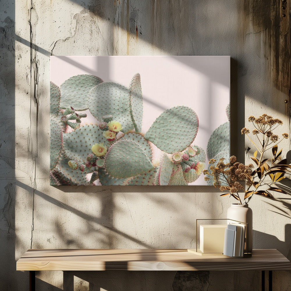 Bloeiende Cactus | Canvas