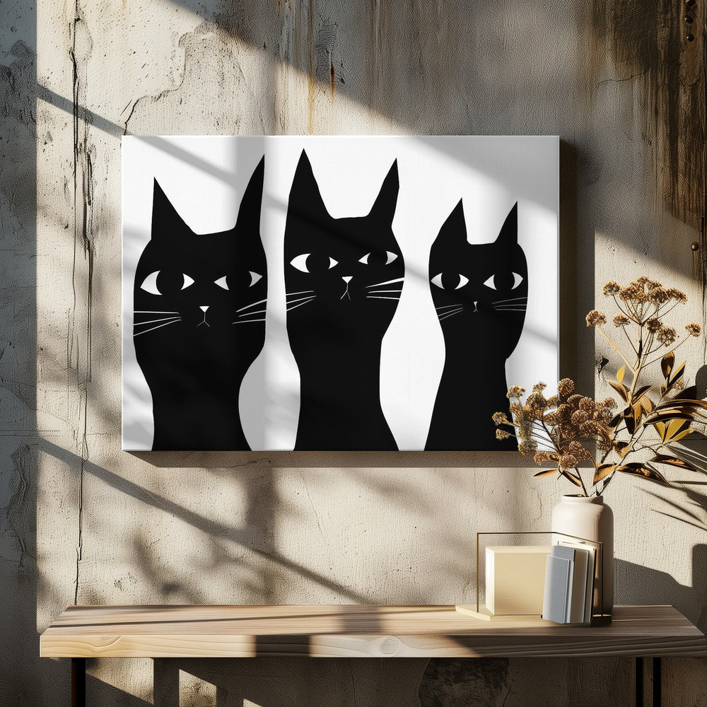 Drie zwarte katten kijken kat | Canvas