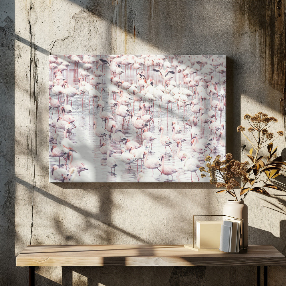 Flamingo's | Canvas