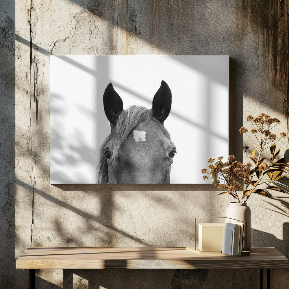 Glurend paard | Canvas