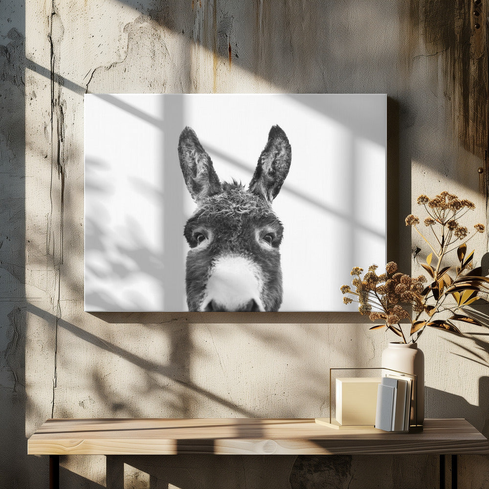 Glurende Ezel Zwart-wit | Canvas