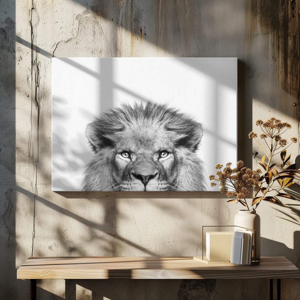 Glurende Leeuw | Canvas