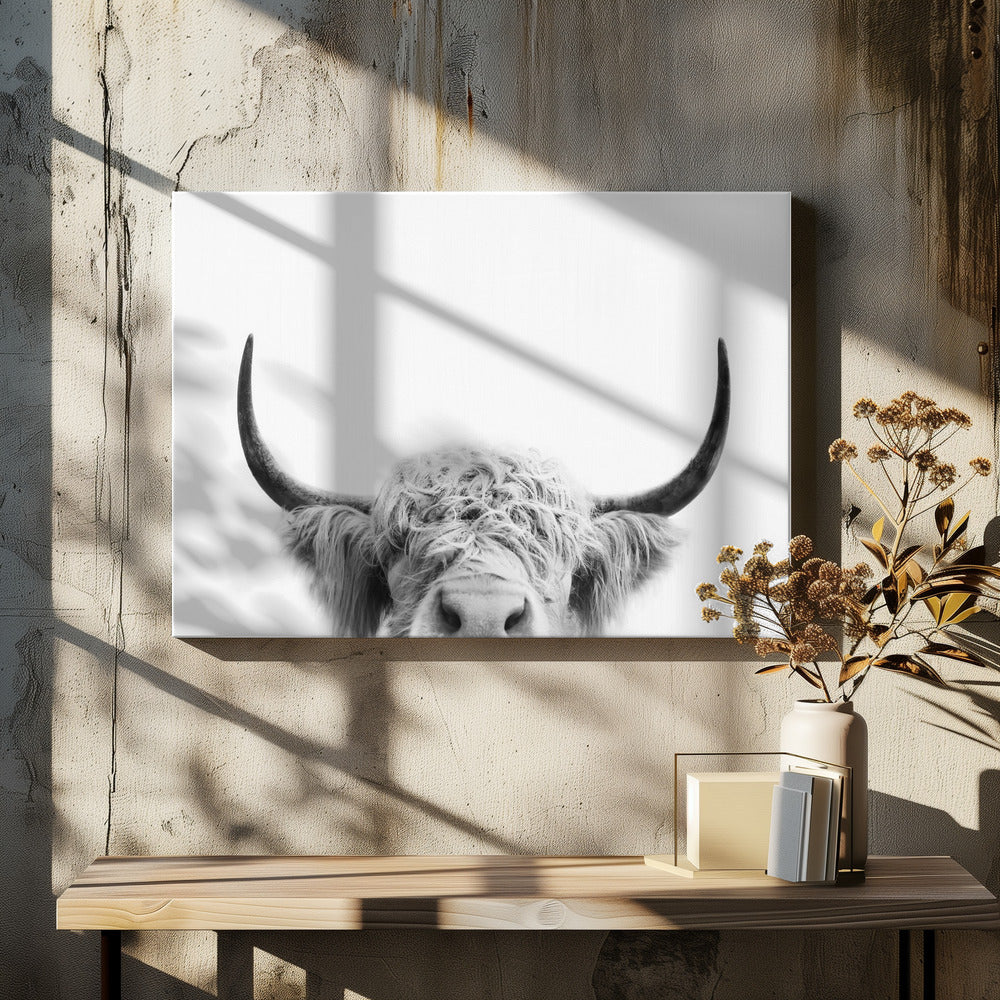 Glurende koe zwart-wit | Canvas