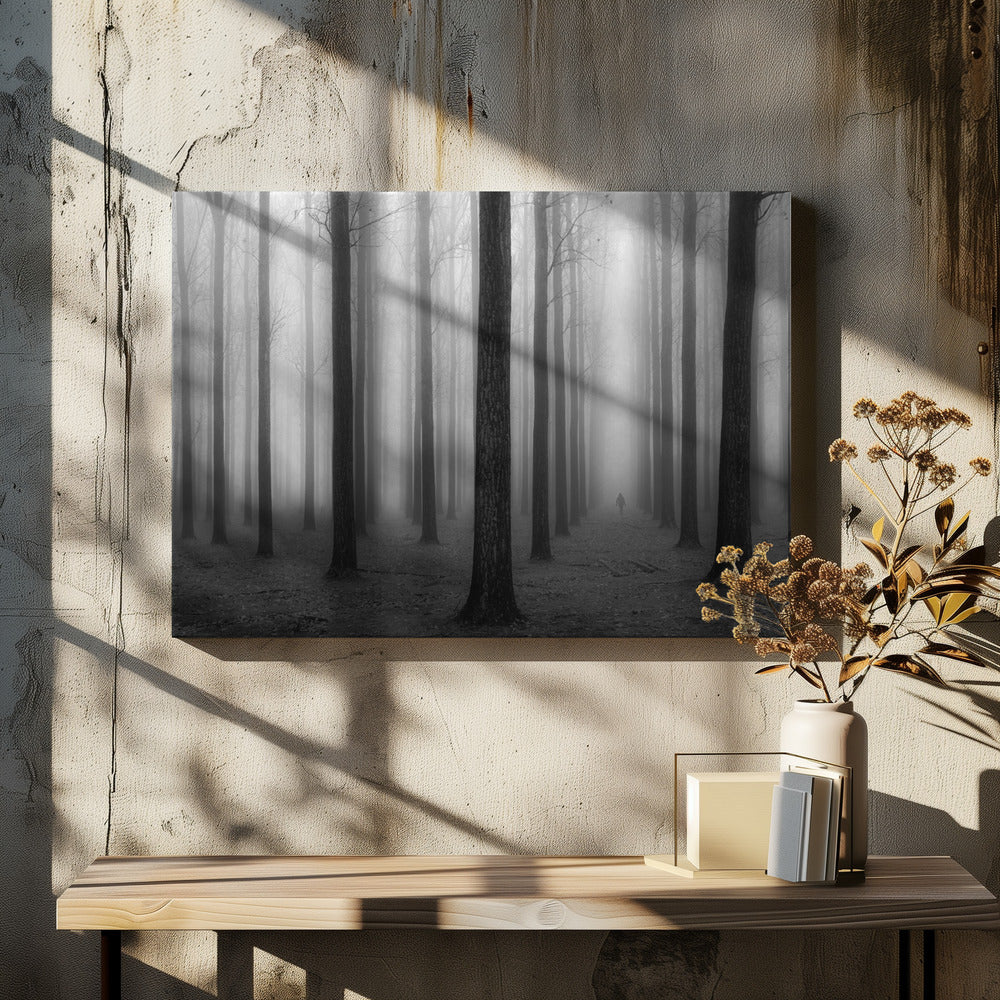 In de mist | Canvas