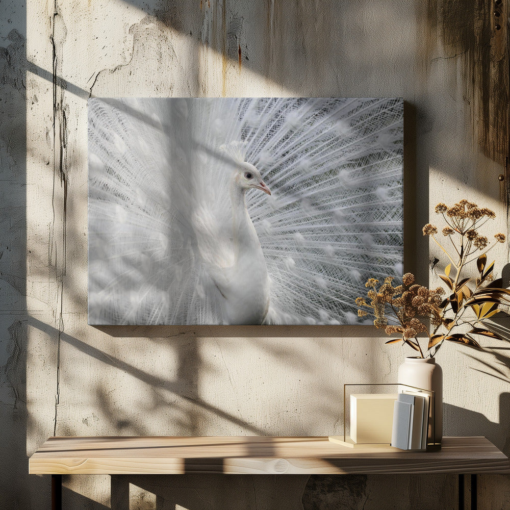 Zo wit als sneeuw | Canvas