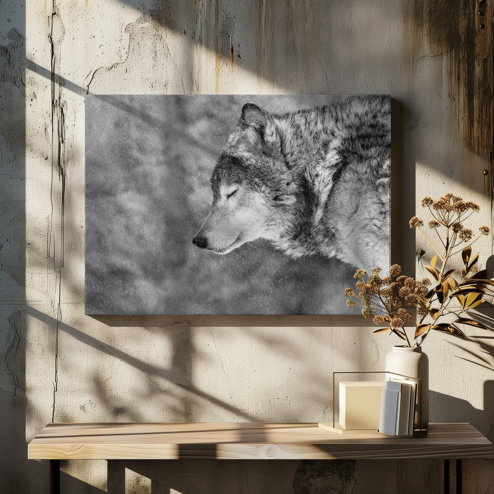Laat het sneeuwen | Canvas