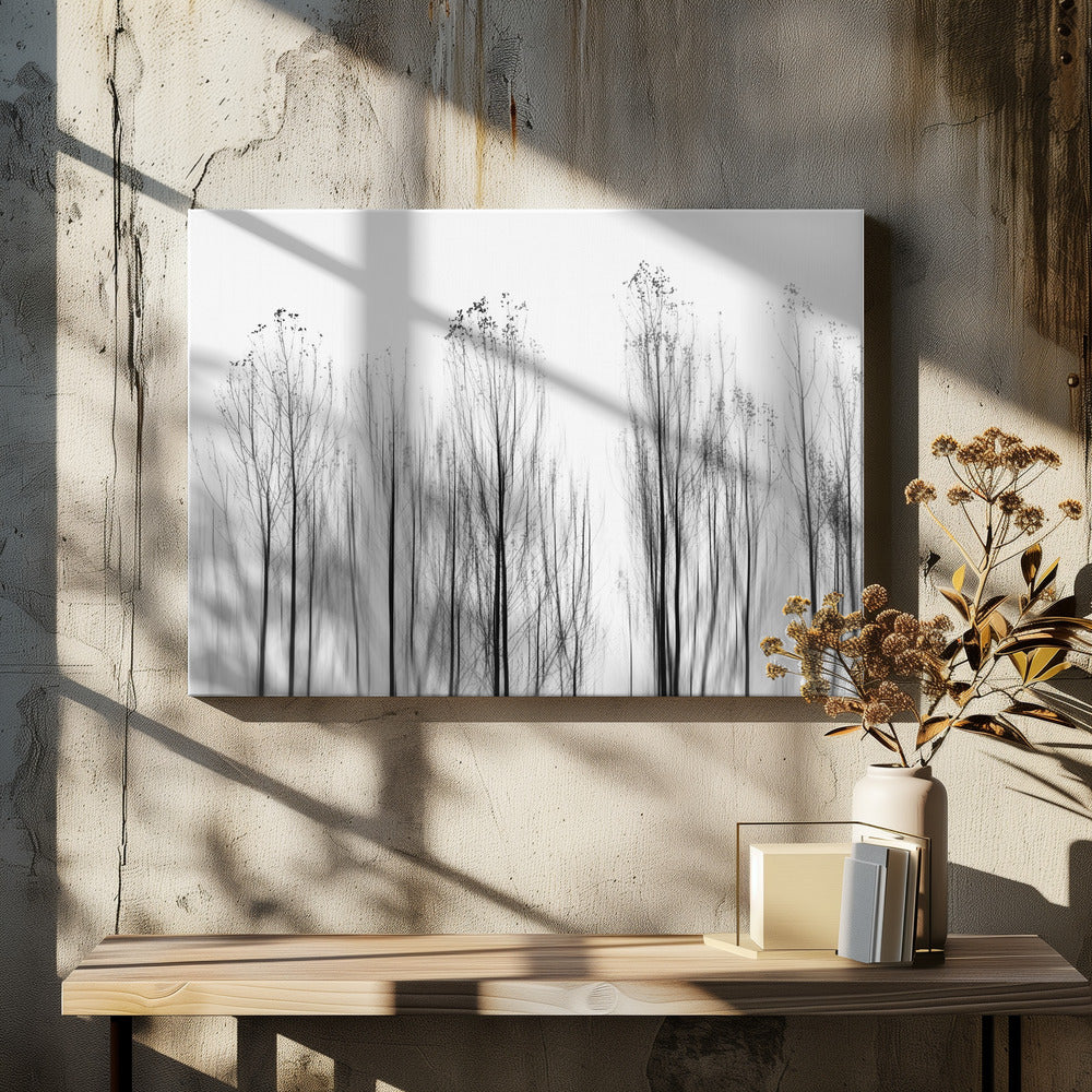 No Grounds | Canvas