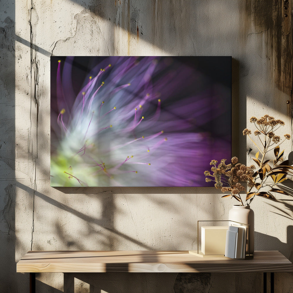Het dwaallicht | Canvas