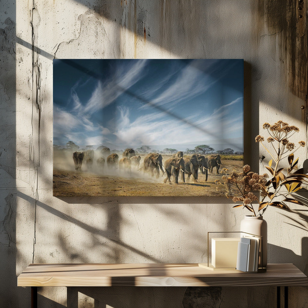 Een heel lang denkproces | Canvas