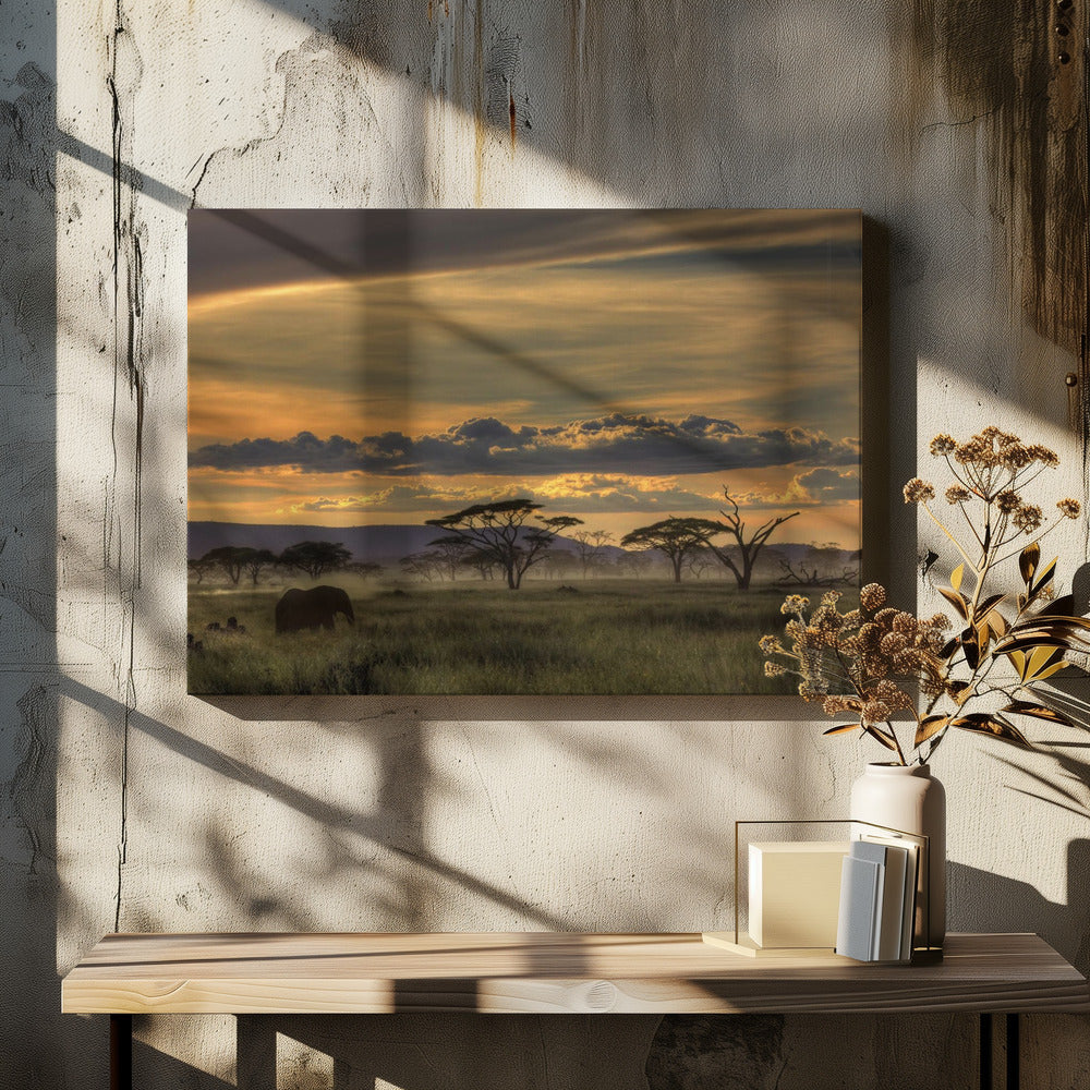 Afrika | Canvas