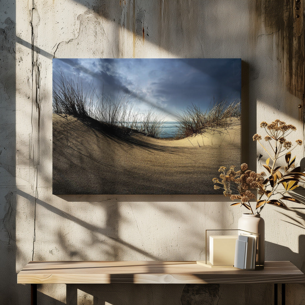 Duinen........... | Canvas