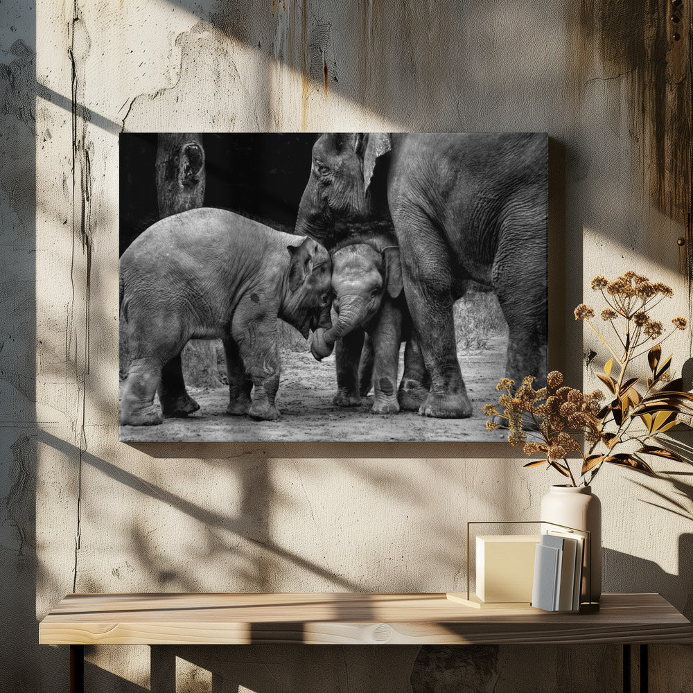 Vrienden voor altijd | Canvas