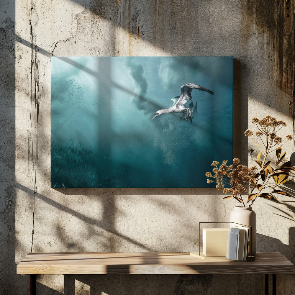 duiker | Canvas