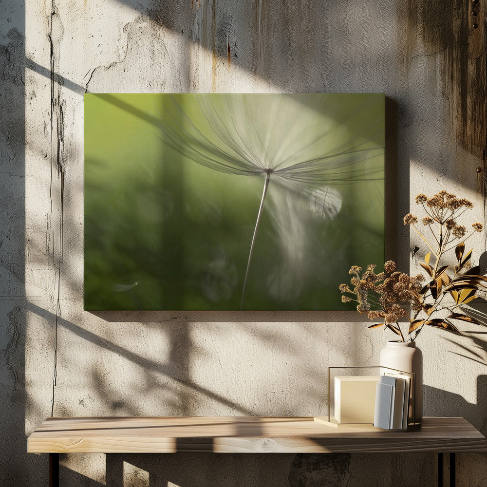Schaduwen in het groen | Canvas