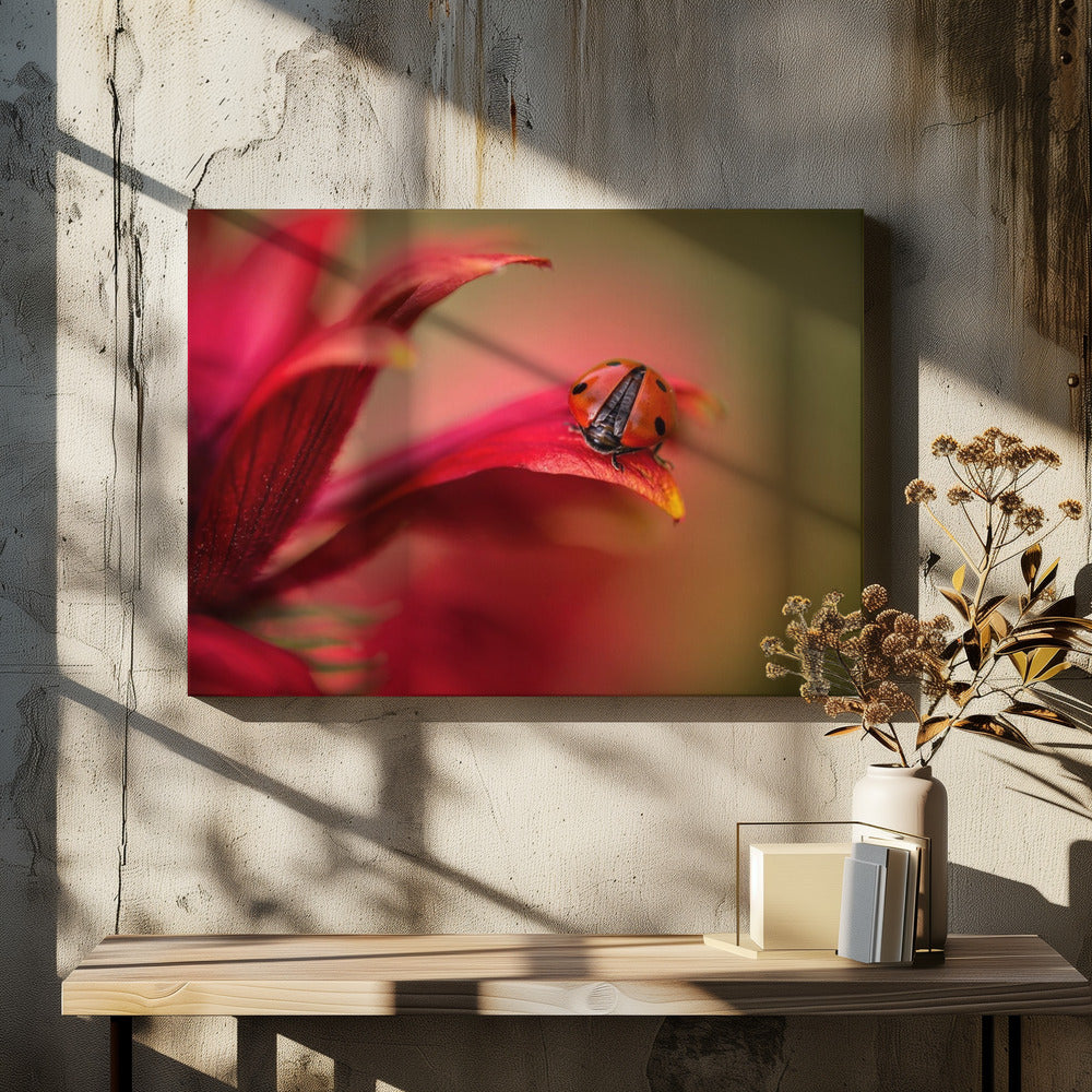 Gewoon rood | Canvas