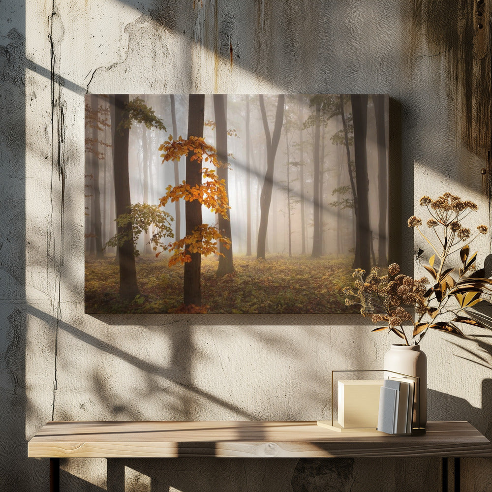 In novemberlicht | Canvas