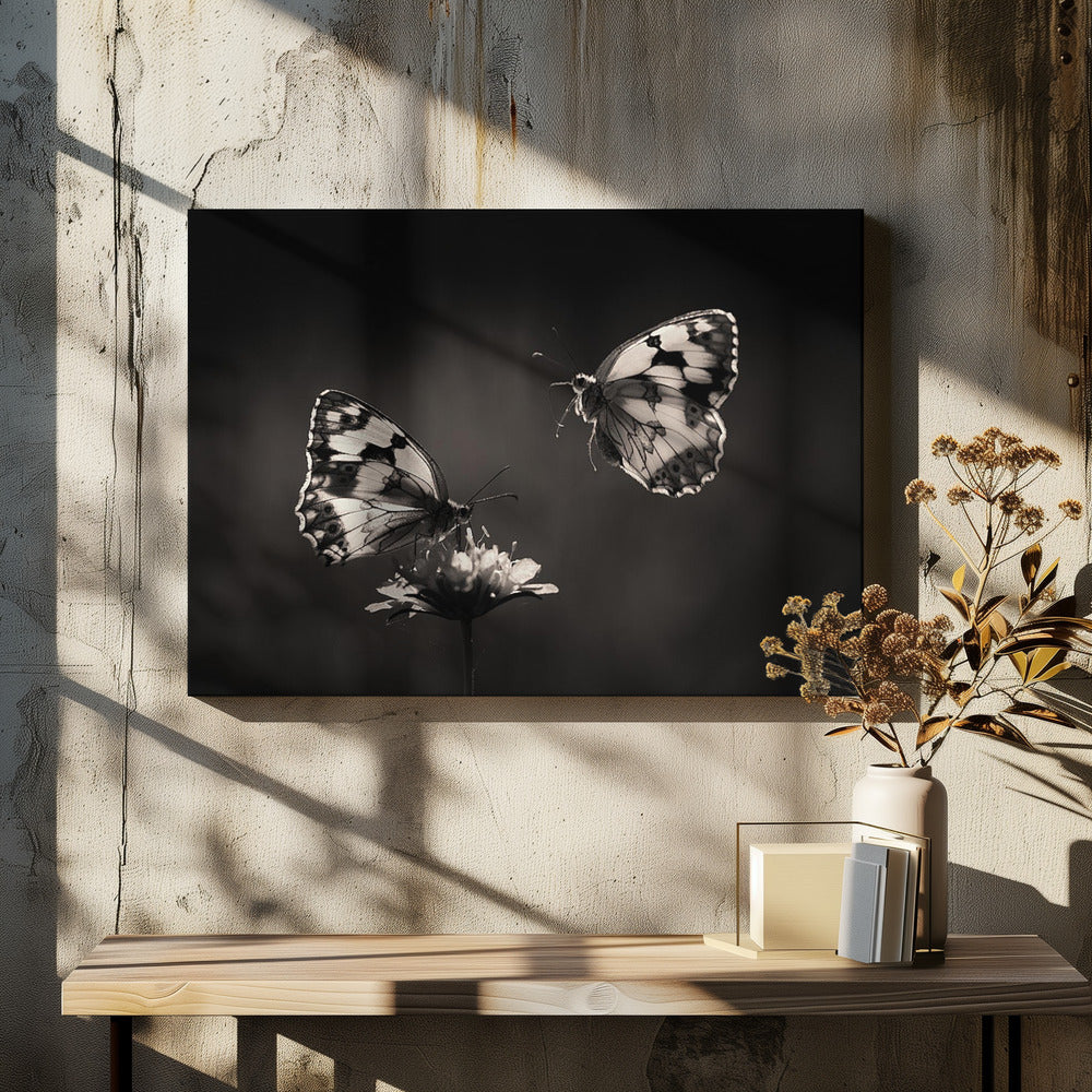 Noordelijk halfrond | Canvas