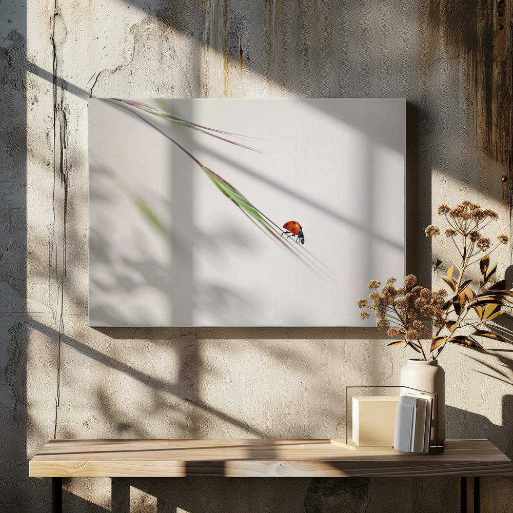 lieveheersbeestje | Canvas