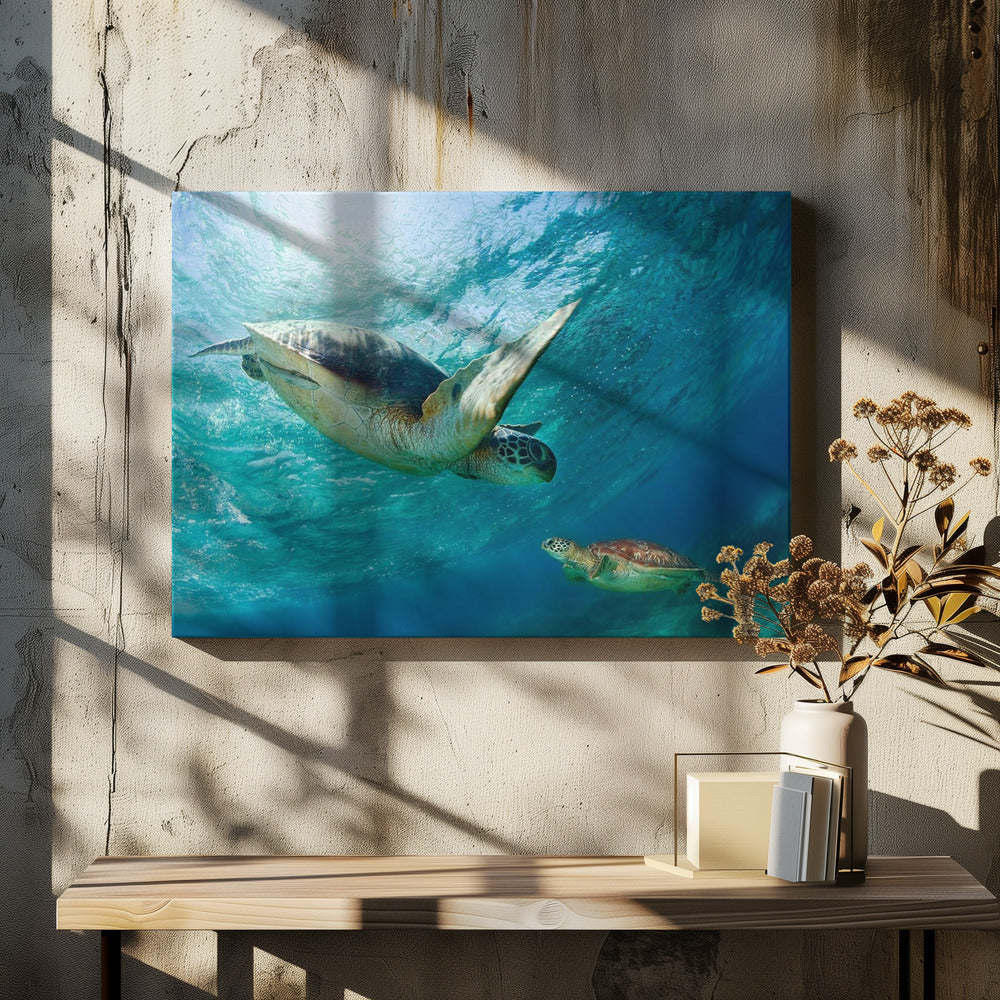 Contact | Canvas