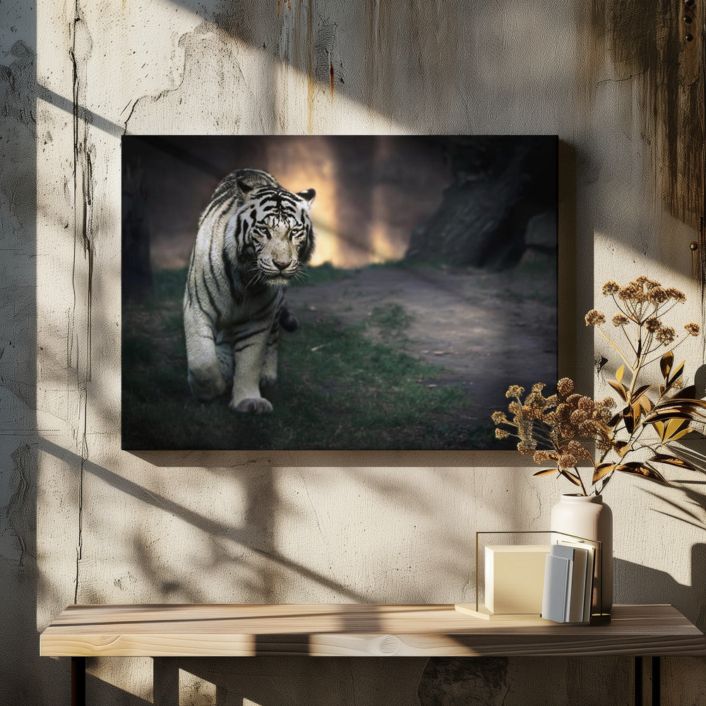 Witte wandelaar | Canvas