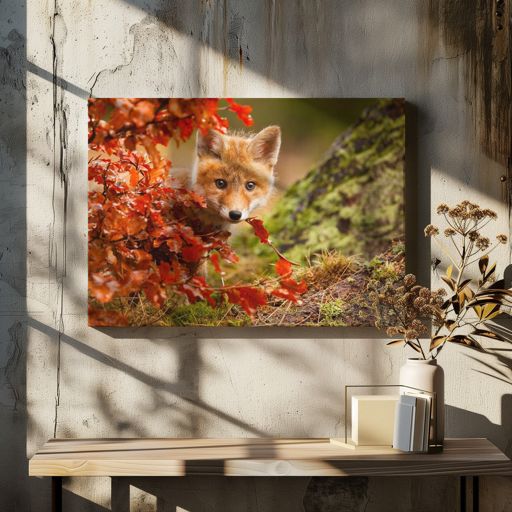 Vos | Canvas