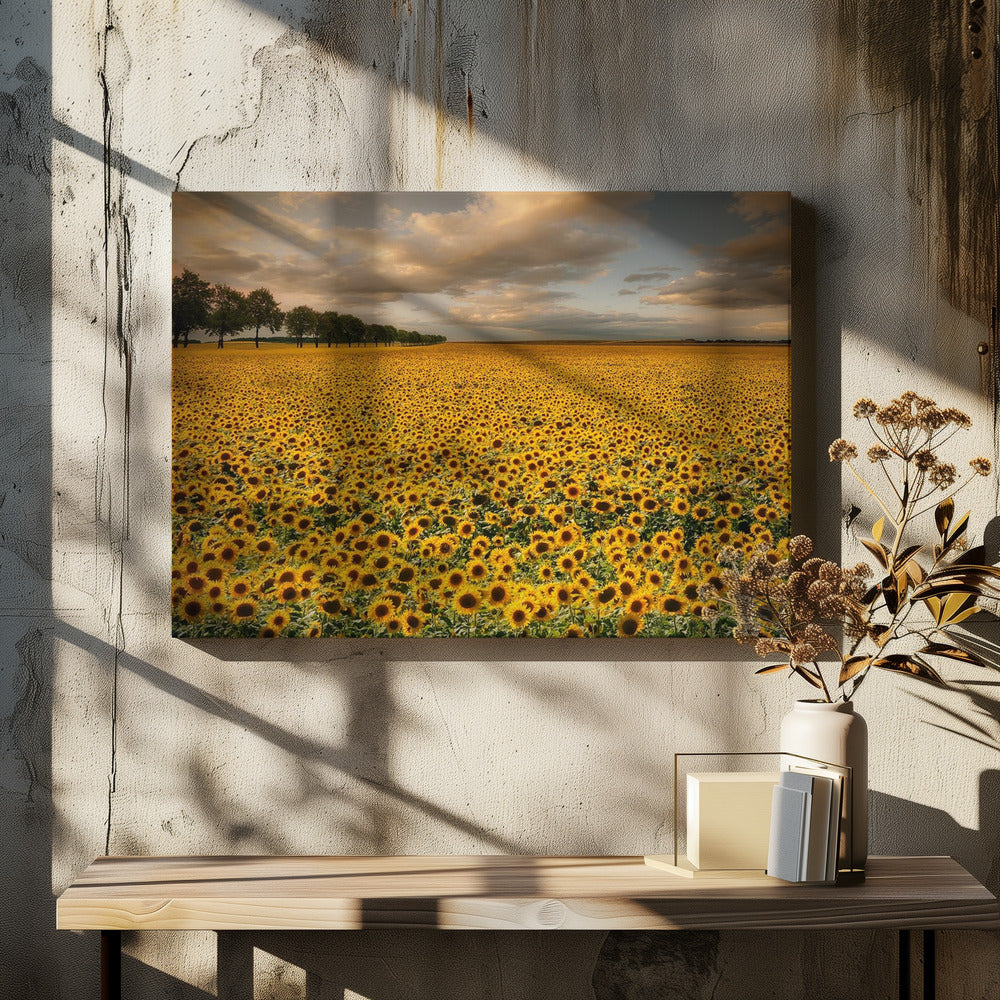 Zonnebloemen | Canvas