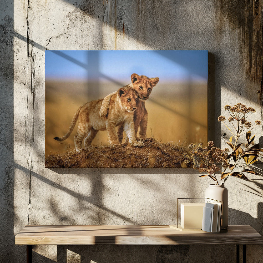 Broeders voor het Leven | Canvas