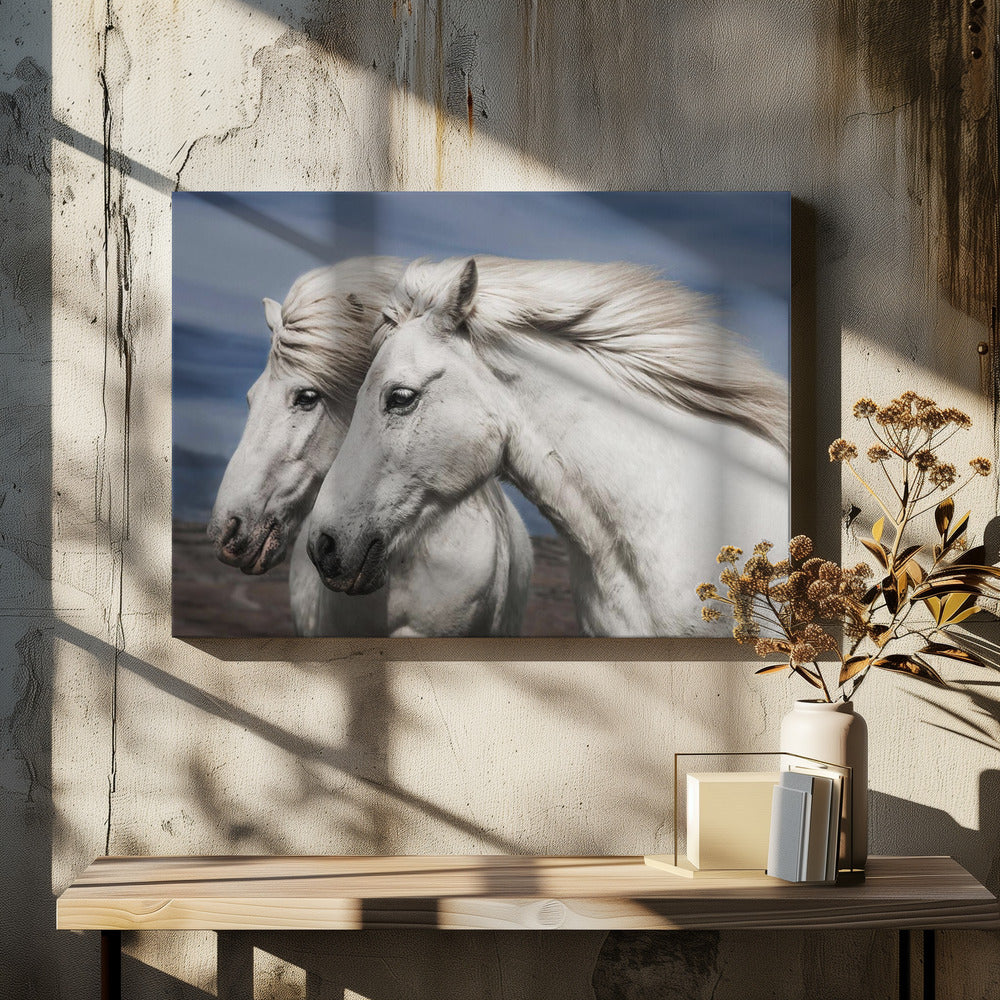 Blazen | Canvas