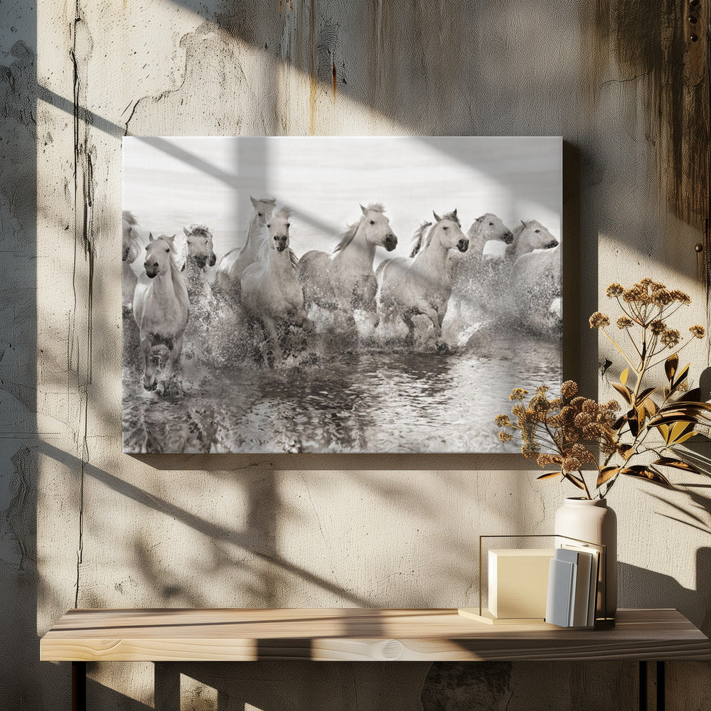 Illusie van kracht (al is het maar 13 pk) | Canvas