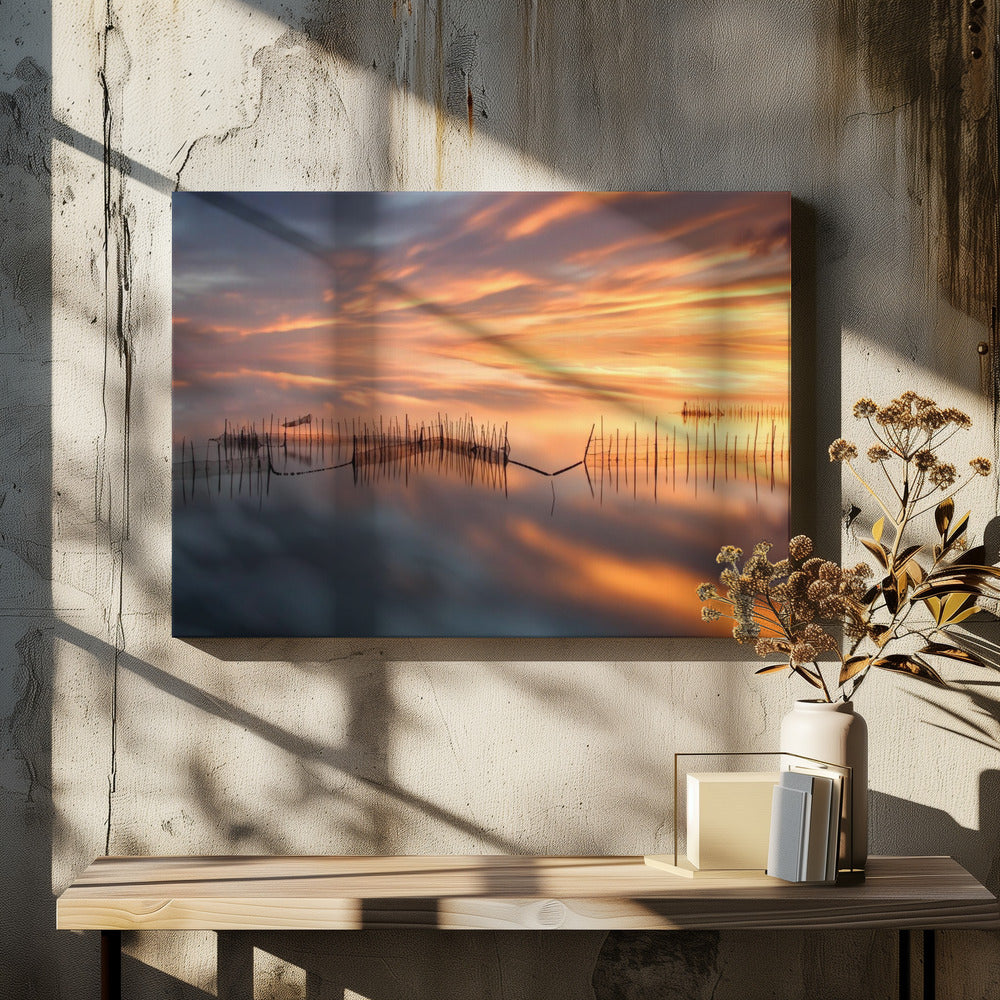 Visnetten | Canvas