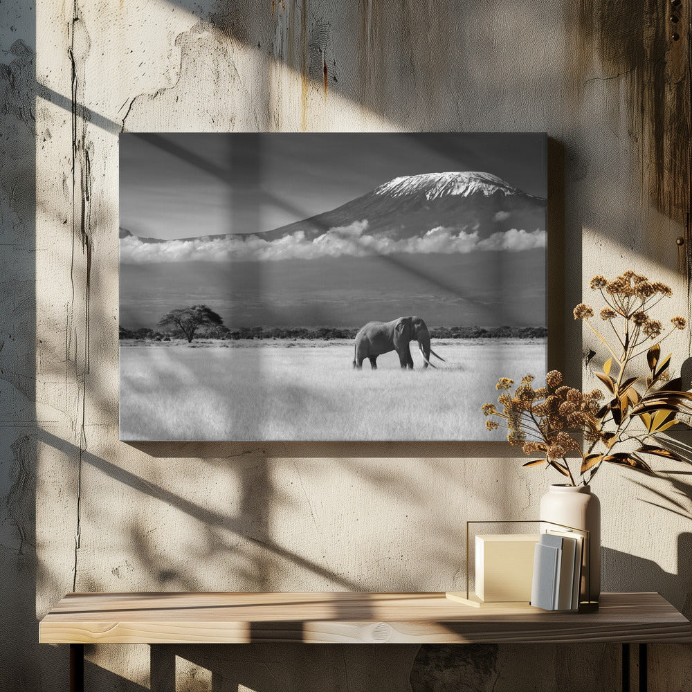 Verloren kleuren II | Canvas