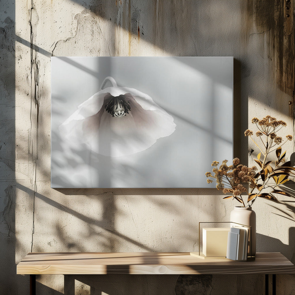 Vergankelijke schoonheid | Canvas