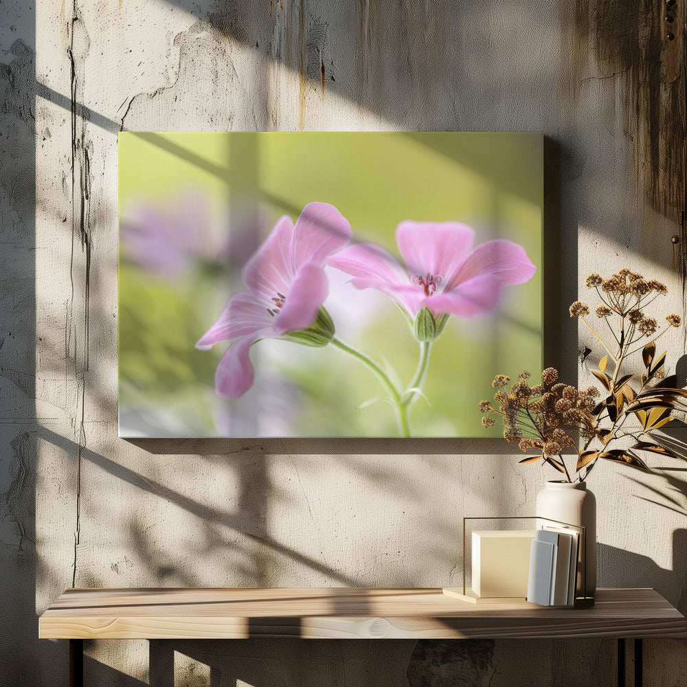 Roze Melodie | Canvas